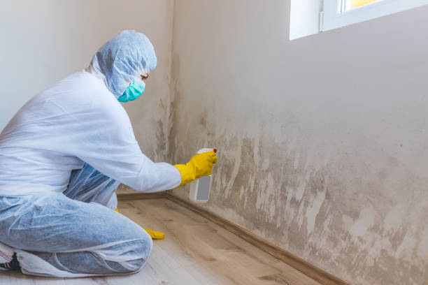 Licensed Crawl Space Mold Removal service in Scotland, MD - WQB Mold Removal